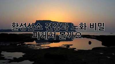 활성산소💣: 건강과 노화, 비밀 파헤쳐 볼까요?