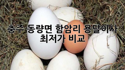 충주 동량면 함암리 용달이사 최저가 비교!