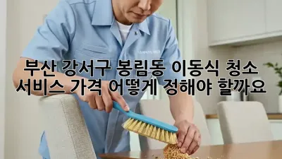 부산 강서구 봉림동 이동식 청소 서비스 가격, 어떻게 정해야 할까요?